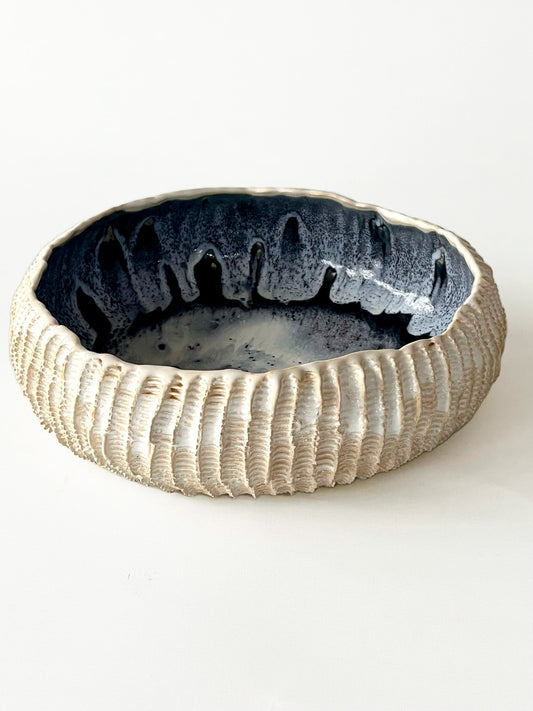 Fuente Erizo Azul Cielo