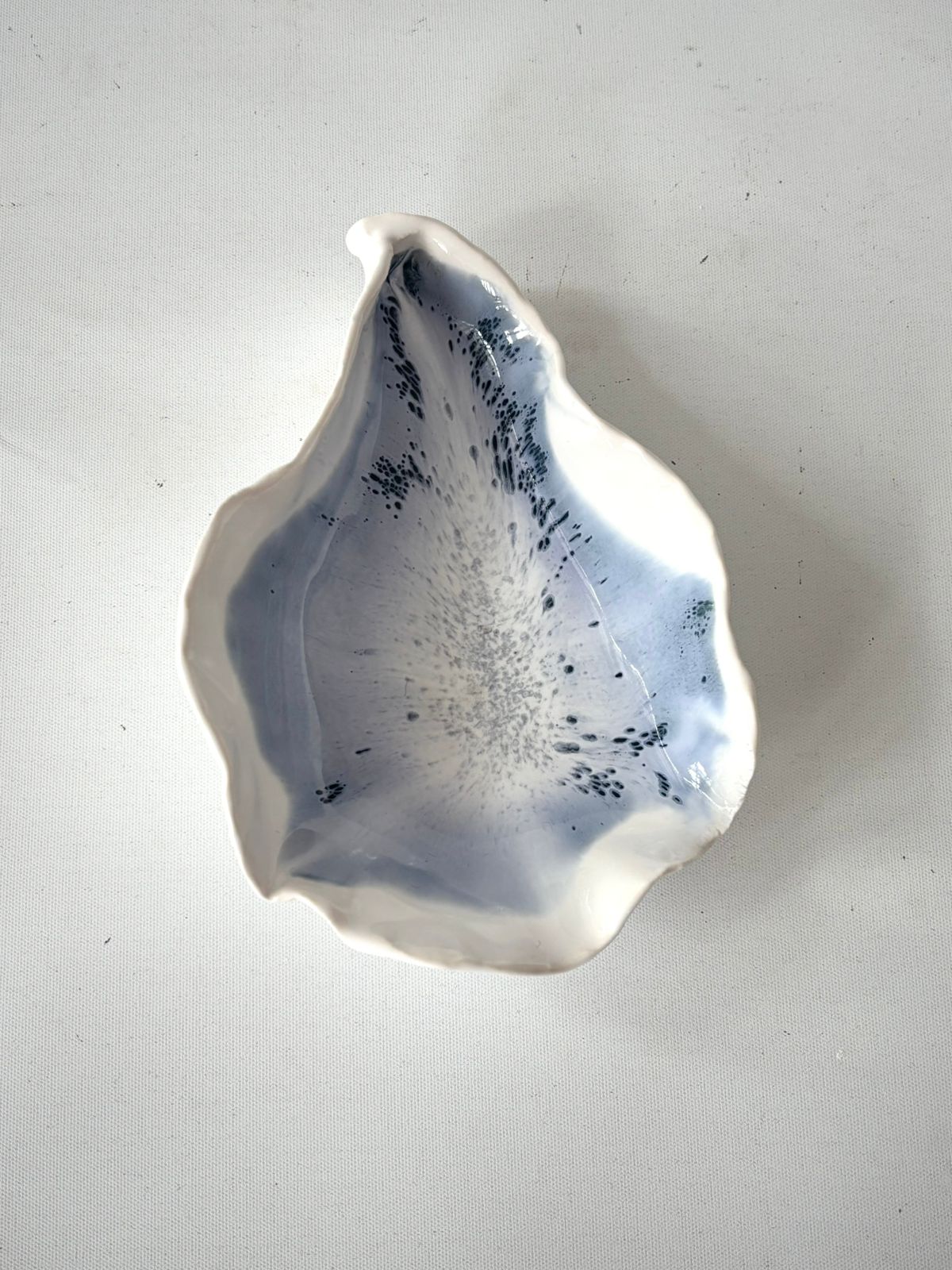 Ostra Porcelana 15x10 cm