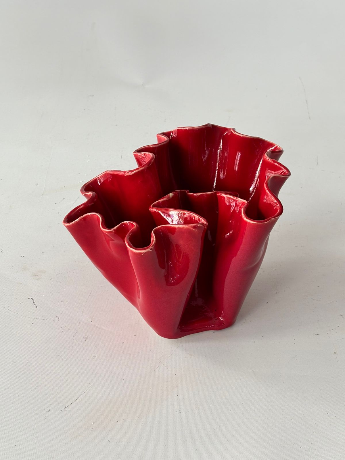Coral 2