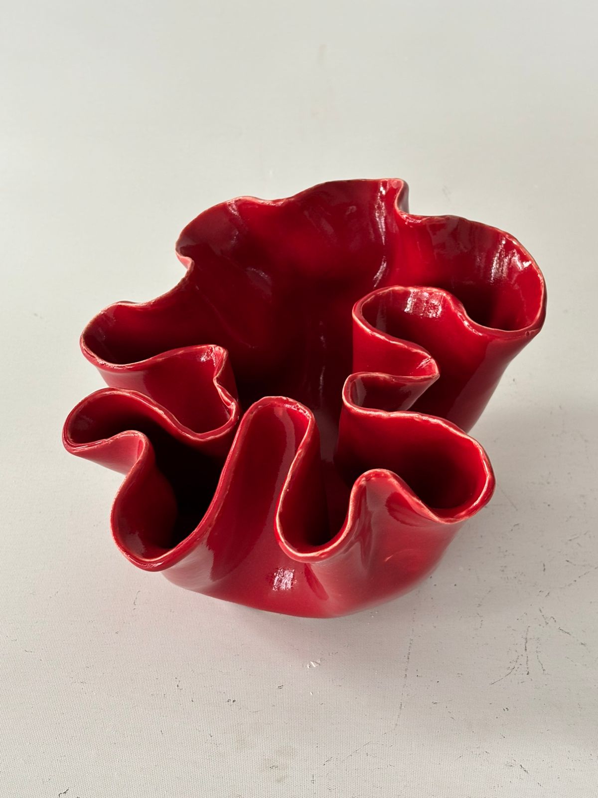 Coral 4