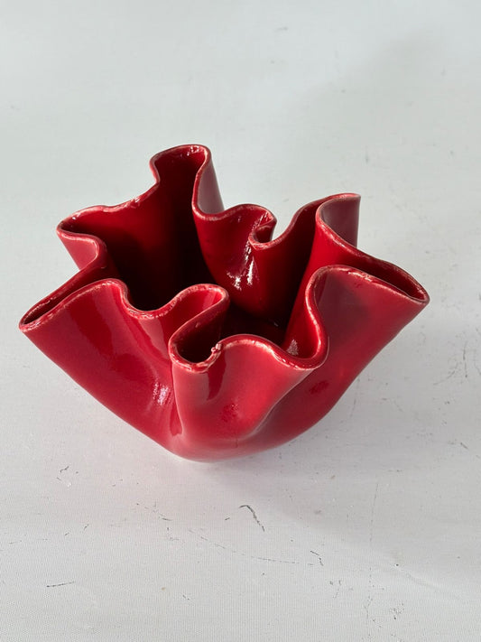 Coral 3