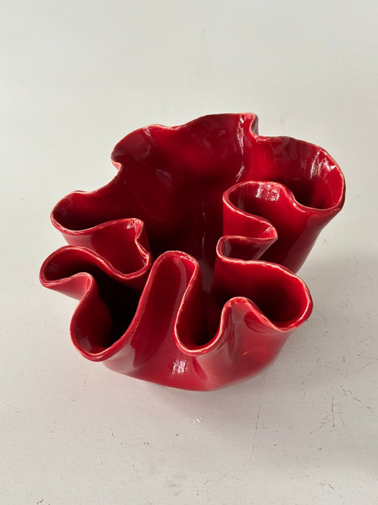 Coral 4