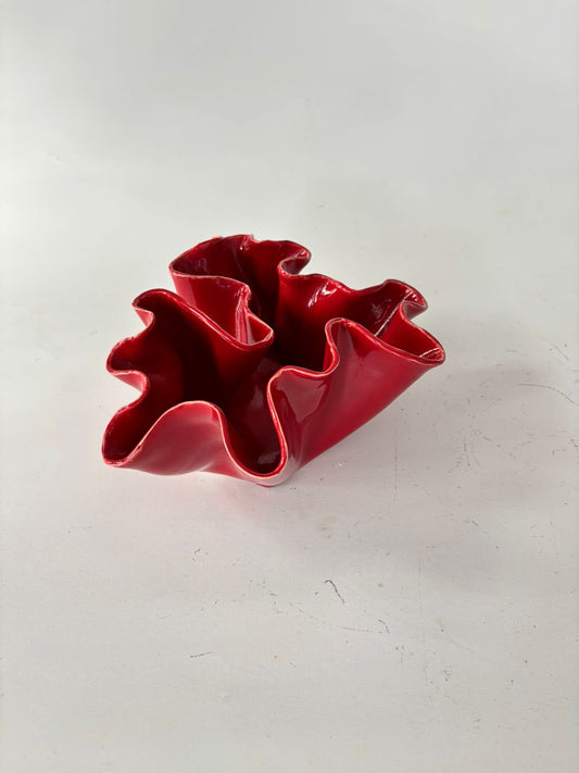 Coral 5