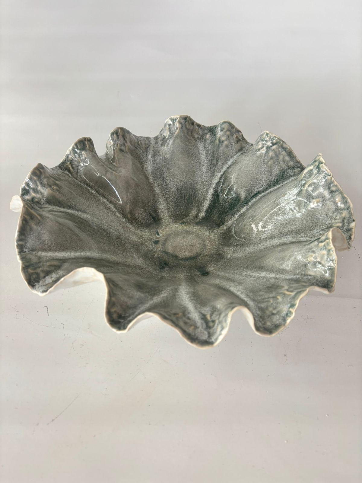 Ameba Abierta 2