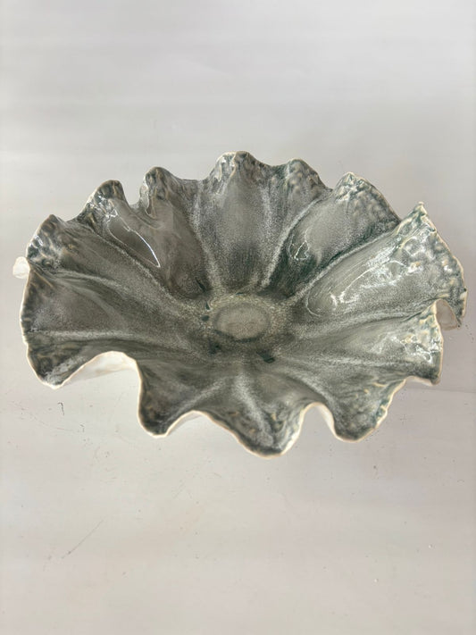 Ameba Abierta 2