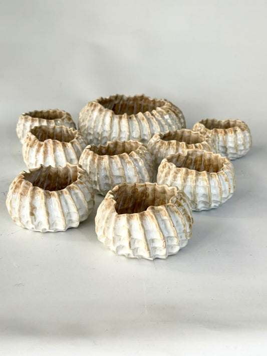 Set Fuente + 8 Pocillos Erizo